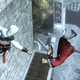 Illustration for article titled Assassin’s Creed: Bloodlines Opens Up Gameplay And Closes The Book On Altair